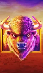 Buffalo King